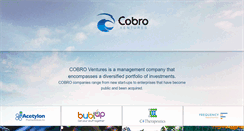 Desktop Screenshot of cobroventures.com